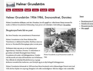 Helmer Grundström screenshot